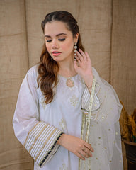 ASBP-104 Dobby Spring 3PCS