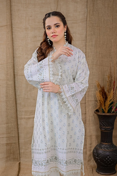 ASSP-109 DOBBY SPRING 2PCS