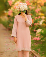 2-Piece Solid Embroidered Suit – GULBADAN