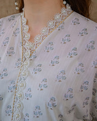 ASSP-109 DOBBY SPRING 2PCS