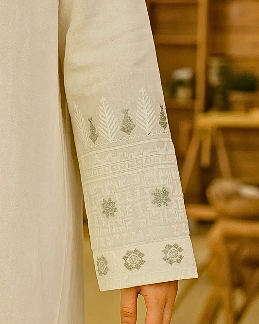 EMBROIDERED LUXURY PRET LAWN DOBBY 2 Piece SE250409